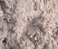 Pulled/Tannery Bulck wool 2