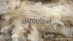 merino white 23,5/24,5mic sorted & skirted for combing