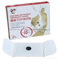 TDP physical therapeutic plaster