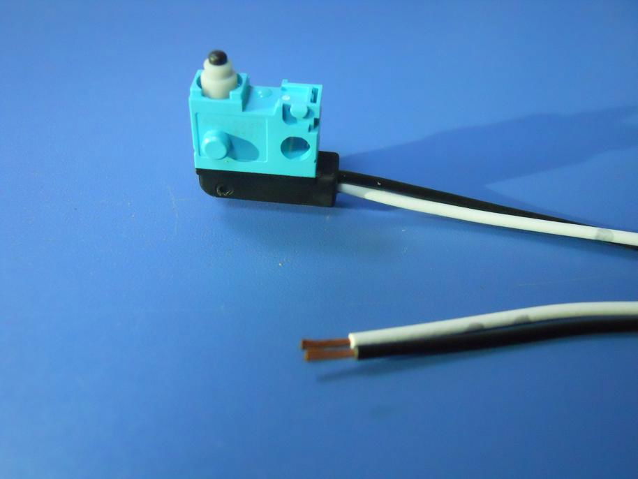 Panasonic ASQ10230 turquoise with wire waterproof micro switch door