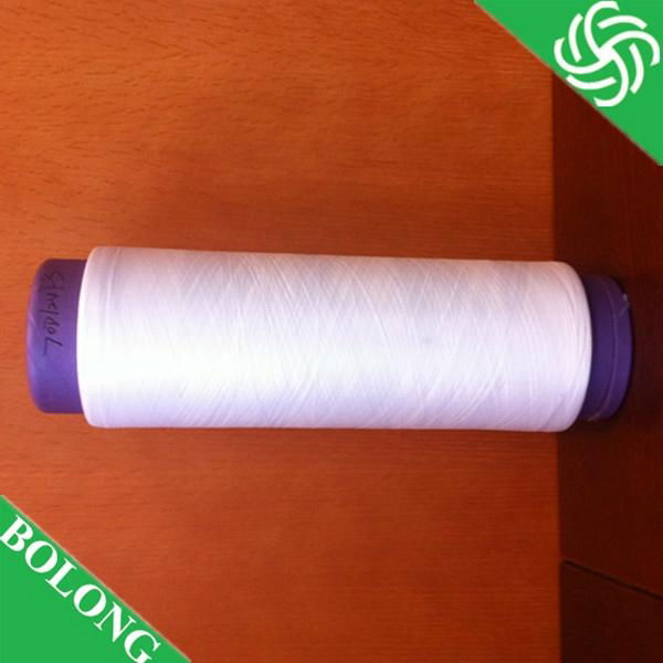 100D/36F/2 Nylon6 DTY  2