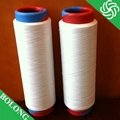 30D/12F/1  Nylon6 high elastic yarn  2