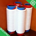 40D/36F/2 Nylon 66 yarn