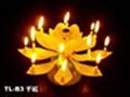 Lotus Candles