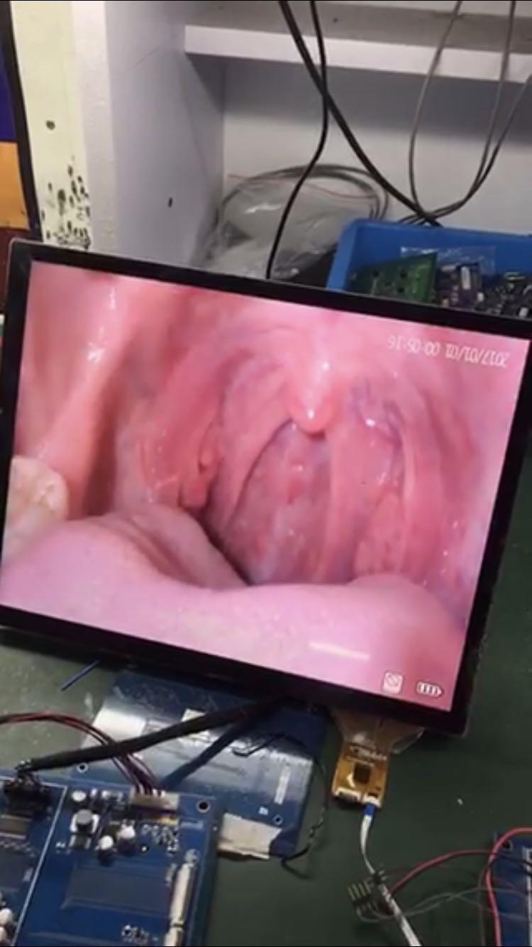 廠家長期供應小尺寸液晶模組 2
