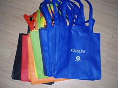 Nonwoven Bag 