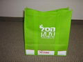 Nonwoven Shopping Bag (HBNB-004)