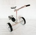  folding  motorized golf carts electric golf cart 
