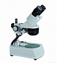 Stereo Microscope