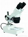 Stereo microscope 2
