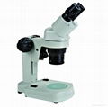 XTX-8C stereo microscope 1