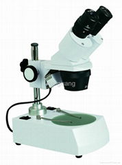 XTX stereo microscope