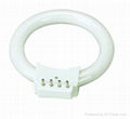 RFL8 Fluorescent ring light for microscope 4