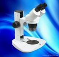 DTX series stereo microscopes 1