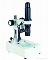 VIDEO series microscope 1