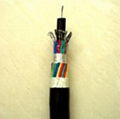 PTVV信号电缆 3