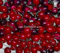 Cherry model, decorative fruits, props Fruit