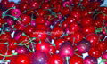 Cherry model, decorative fruits, props Fruit