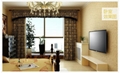 58"LED TV Business hotel LED TV