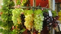 prop grapes, decorative fruits, props Fruit