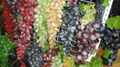 prop grapes, decorative fruits, props Fruit