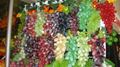 prop grapes, decorative fruits, props Fruit