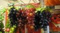 prop grapes, decorative fruits, props Fruit