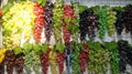 prop grapes, decorative fruits, props Fruit