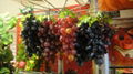 prop grapes, decorative fruits, props Fruit