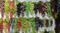 prop grapes, decorative fruits, props Fruit