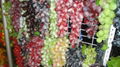 prop grapes, decorative fruits, props Fruit