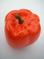 Simulation vegetables (pepper)