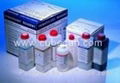 clinical_hematology_reagent_cubitainer_20L