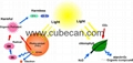 cubitainer for Photocatalytic Coatings packaging 5