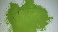 Moringa Powder 3