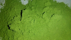 MORINGA LEAF POWDER