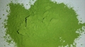 MORINGA LEAF POWDER 4