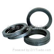 Flexible Graphite Packing Ring