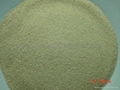 Garlic granule (Click) 4