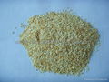 Garlic granule (Click) 5