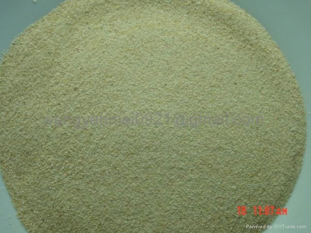 20-40mesh Garlic granule