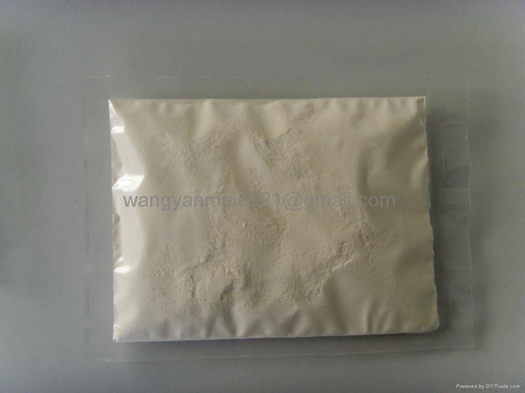 White Onion Powder