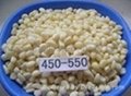 Supply the 2012 new crop Garlic in brine 