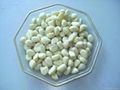 Supply the 2012 new crop Garlic in brine 