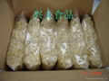 Supply 2012 new crop Garlic Flake Grade One 