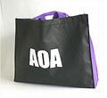 non woven bag  2