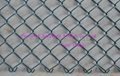 chain link fence
