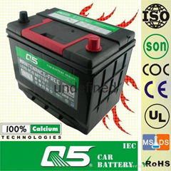 Maintenance Free Car battery