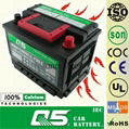 Maintenance Free Car battery 3