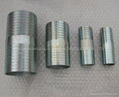 Carbon steel Hose Nipples